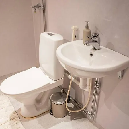 Arctic Downtown Dream: Cozy