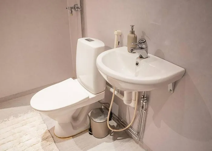 Arctic Downtown Dream: Cozy